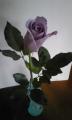 PAP_0001.jpg