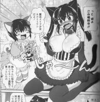 CatLadies1.jpg