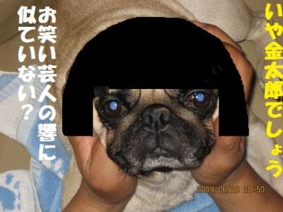 文太