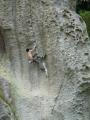 Froggatt Daddy Long Legs