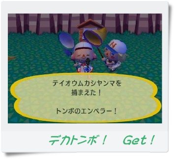 でかとんぼGet