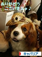 110621_banner.jpg