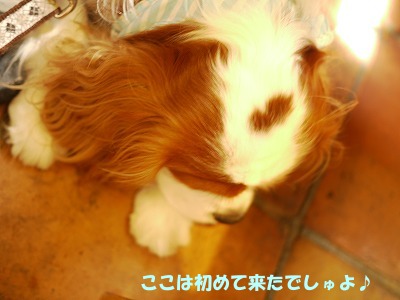 110628_1.jpg