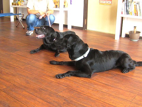 20100804traning-clarathalia1.jpg