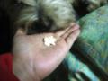 DSC01391-8.jpg