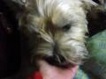 DSC01393-9.jpg