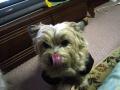DSC01397-11.jpg