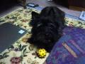 DSC01554-1.jpg