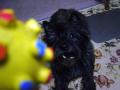 DSC01560-1.jpg