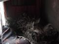 DSC01562-1.jpg