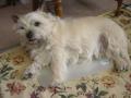 DSC01565-1.jpg