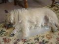 DSC01566-1.jpg