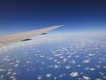 DSC01132.jpg