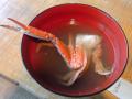 DSC01975.jpg