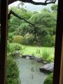 DSC01990.jpg