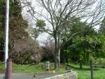 20100430152.jpg