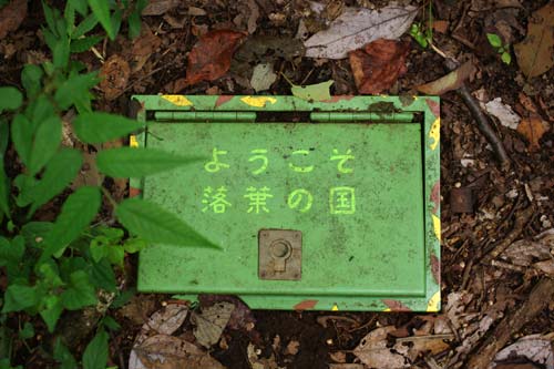 陣ヶ下渓谷