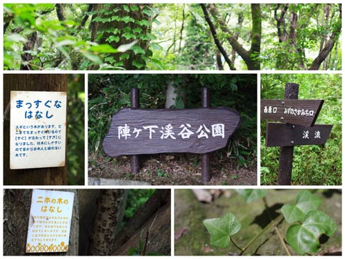 陣ヶ下渓谷