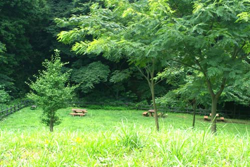陣ヶ下渓谷