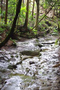 陣ヶ下渓谷