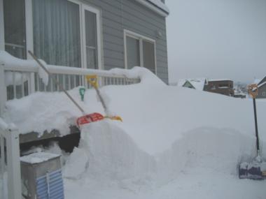 IMG_0323.jpg