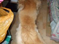 20110706 016