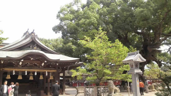 yubutanomori1
