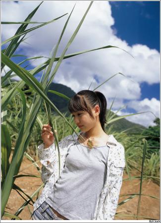 viploader1158096.jpg