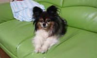 DCF00012_20110923141740.jpg