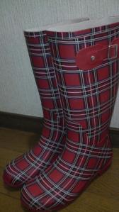 2010070313020000.jpg
