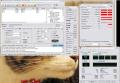 WS201005110173.jpg