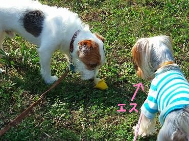 img4879 (2)