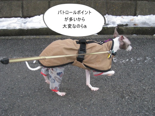 多いのは大変!