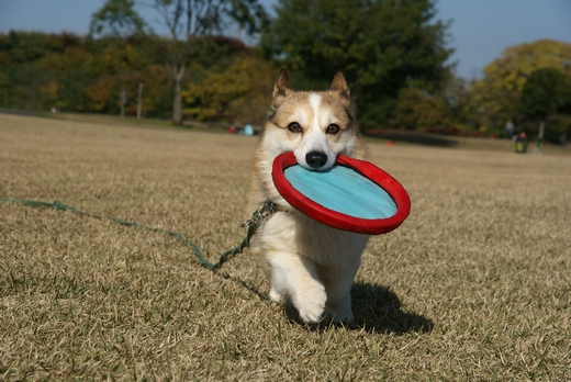 20101230-06.jpg