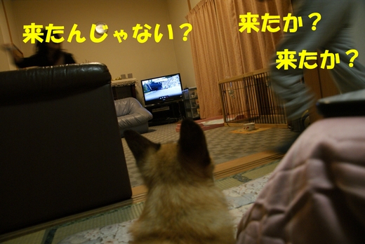20110112-04.jpg