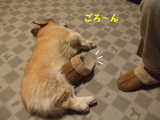 20110425_03.jpg