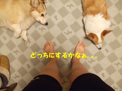 20110504_02.jpg