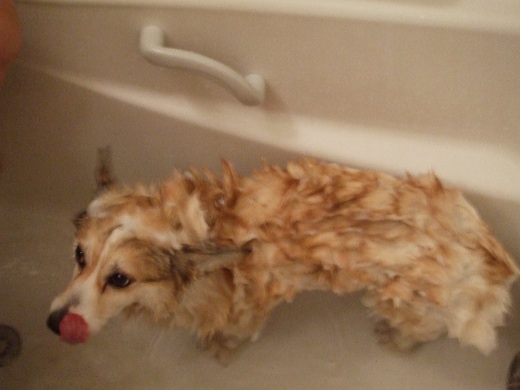 20110504_03.jpg