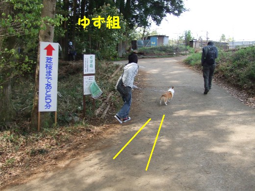 20110510_03.jpg