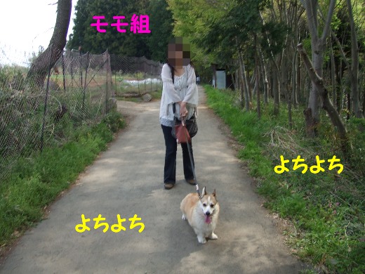 20110510_04.jpg