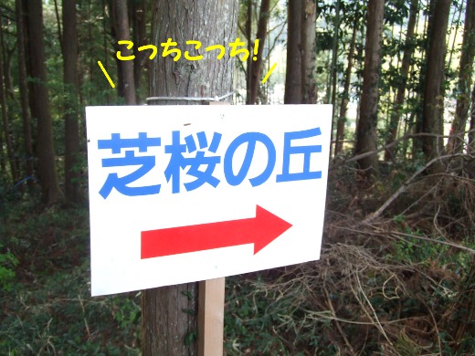 20110510_05.jpg