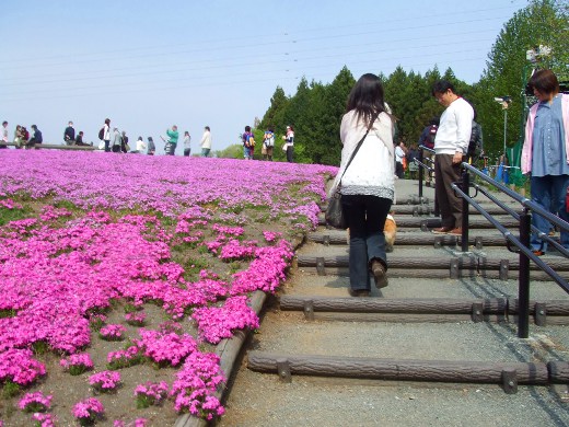 20110510_07.jpg