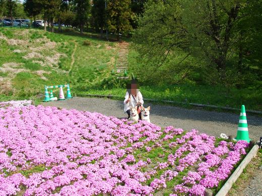 20110510_09.jpg