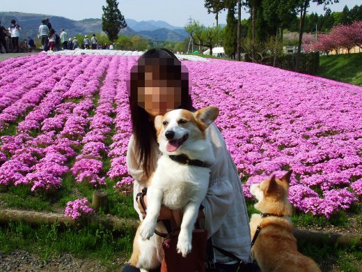 20110510_10.jpg