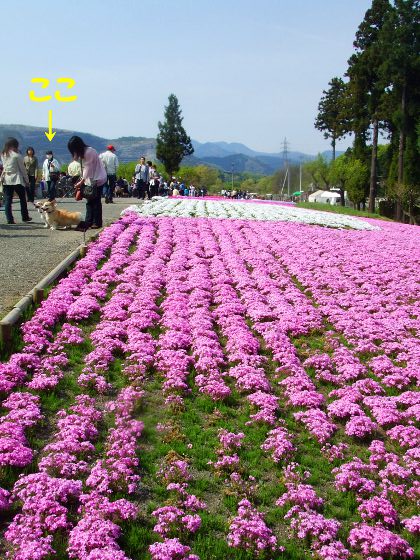 20110510_12.jpg