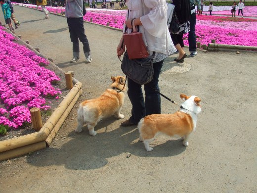 20110510_14.jpg
