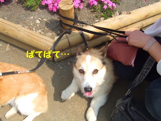 20110510_15.jpg
