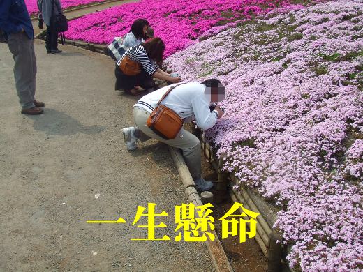 20110510_16.jpg