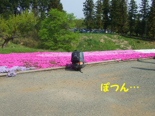 20110510_18.jpg