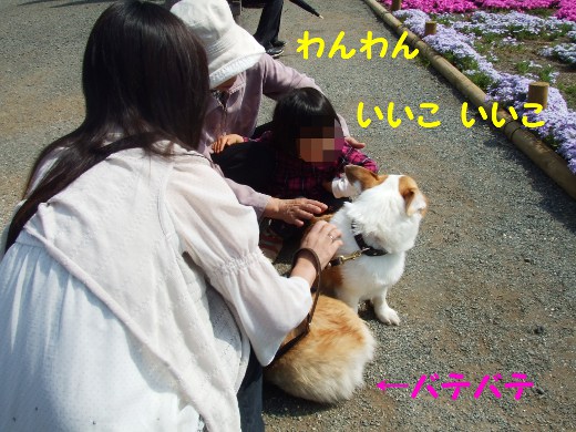20110510_19.jpg